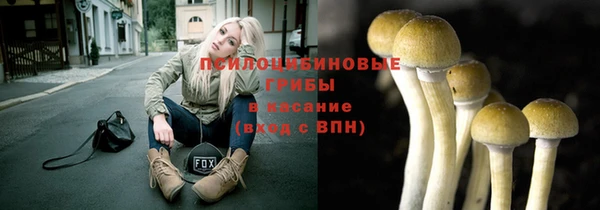 МДМА Заводоуковск