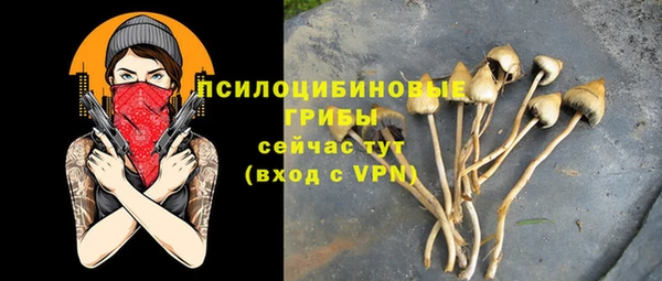 бошки Заволжье