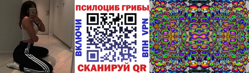 Псилоцибиновые грибы Magic Shrooms  Купить где  Емва 